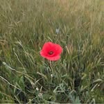 albertgene_17 - @albertgene1707 - Instagram