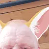 Gene albert hall - @gene.albert.hall - TikTok