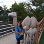 Albert Gibson - @kebiw33781 - Instagram