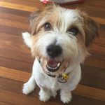 Albert Glasgow - @albert_the_nut - Instagram