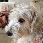 Alberta - @albertagoldthwaitglasgow - Instagram