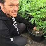 Albert Grant - @bud_heavenx - Instagram