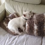 Albert Griffin - @albert.griffin.796 - Instagram