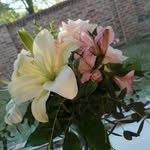 Albert Griffin - @albertgriffin345 - Instagram