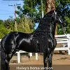 Hailey - @haileyalbert7910 - TikTok