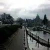 Albert Hamilton - @albert.hamilton3 - TikTok