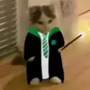 Albert Hamilton - @albert.hamilton95 - TikTok