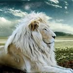alberthartman - @alberthartman6739 - Instagram