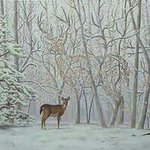 Albert Hefner - @hefneralbert - Instagram