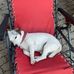 Albert Heiser - Facebook