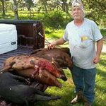 Albert Horvath - @cjhdad - Instagram