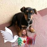 Albert Horváth - @albert.horvath.16568 - Instagram