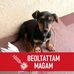 Albert Horváth - Facebook