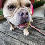 Albert Hubbard - @alberthubbard2829 - Instagram