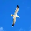 Albert Johns - @albert.johns6 - TikTok