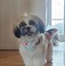 Albert Johnston - Facebook