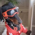 Albert Johnstone - @albert_johnstone1467 - Instagram