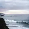 no - @albertkarp6 - TikTok