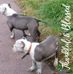 Albert Killian - Facebook