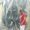 Albertino Killian - @albertinokillian - TikTok