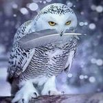 Albert Klaasse - @albertklaasse - Instagram