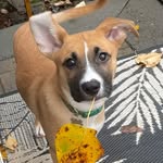 Albert Kett - @albert_theboxsky - Instagram