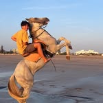 Albert Lam - @el_albertoo - Instagram