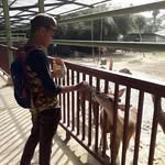 Albert Lang - @albertlang04 - Instagram