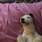 Albert Ege Larsen - @albert_el2 - Instagram