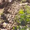 A la torre Alberto - @a.la.torre.albert - TikTok