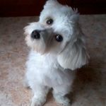 Albert Latorre - @albert_latorre63 - Instagram