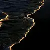 Albert Lee - @albert.lee2 - TikTok
