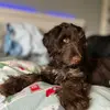 albertlill2 - @lee57681 - TikTok