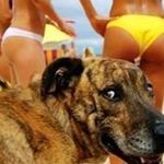 Albert Limas - @limasalbert - Instagram