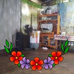 Albert Linongcay - @linongcayalbert - Instagram