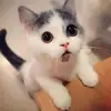Loan_Albert - @loan_albert - TikTok