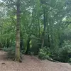 Albertlock - @albertlock54 - TikTok