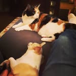 Cindy Albert Locke - @twirp1974 - Instagram
