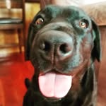 Albert Loebs - @loebsalbert - Instagram