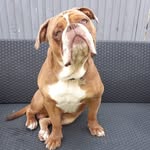 @albert_the_originaloeb - Instagram