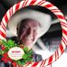Albert Loewen - Facebook