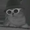 Albert - @albertlokk - TikTok