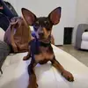 albertlongoria - @king_albert_512 - TikTok