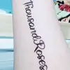 Albert. Lore - @lorenzo.lore1 - TikTok