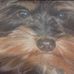 Albert Loriot - Facebook