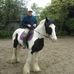 Albert Louden - Facebook
