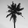 albertlovell637 - @albertlovell637 - TikTok