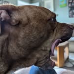 Albert Lowande - @albert.lowande - Instagram