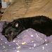 Albert Lowery - Facebook