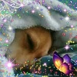 Albert Lozada - @albertlozada66 - Instagram